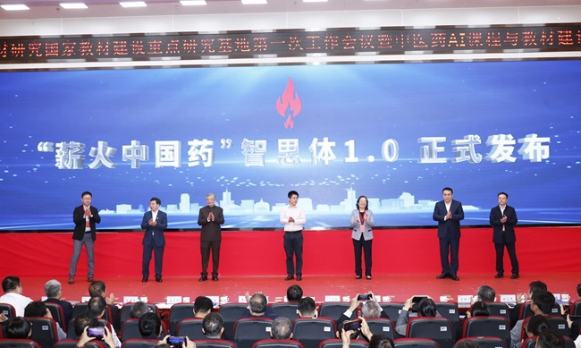 大模型发布.jpg